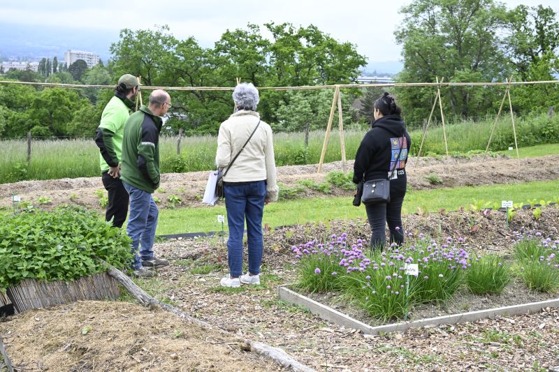 Faites du jardin ! 2023 en images