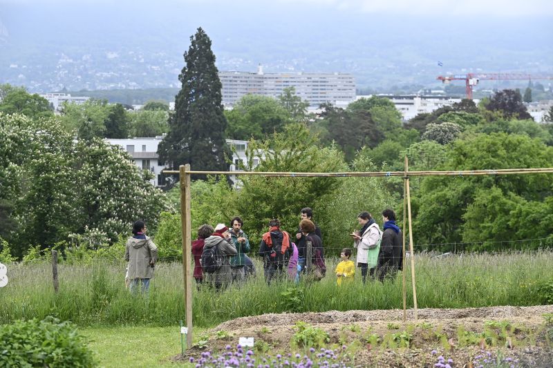 Faites du jardin ! 2023 en images