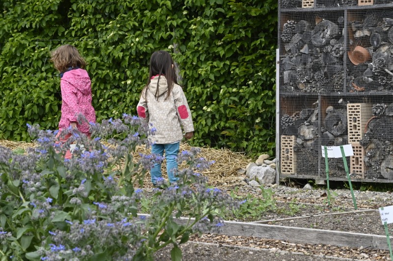 Faites du jardin ! en images