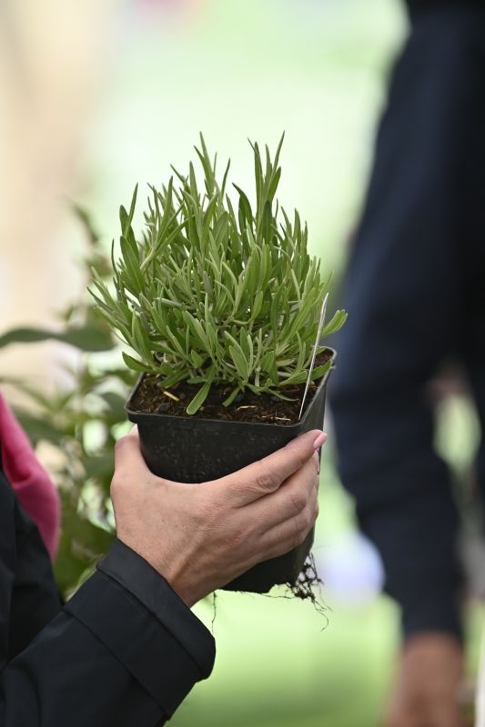 Faites du jardin ! 2023 en images