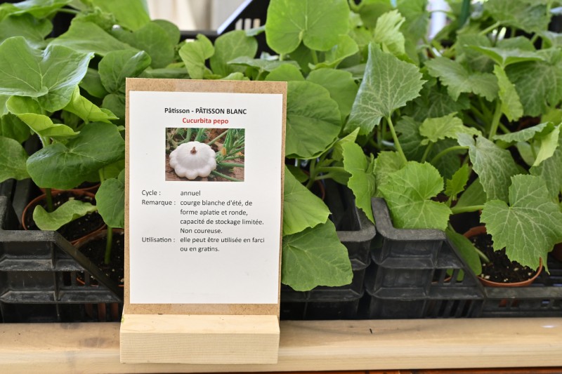 Faites du jardin ! en images