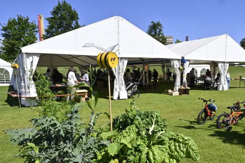 Faites du jardin ! en images