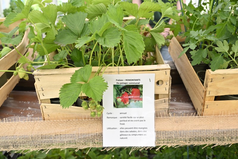 Faites du jardin ! en images
