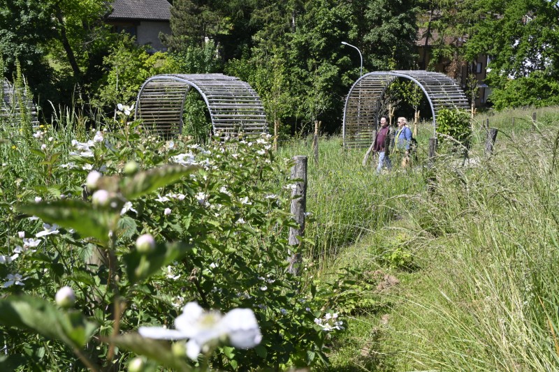 Faites du jardin ! en images