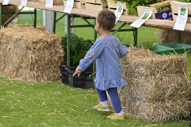 Faites du jardin ! en images
