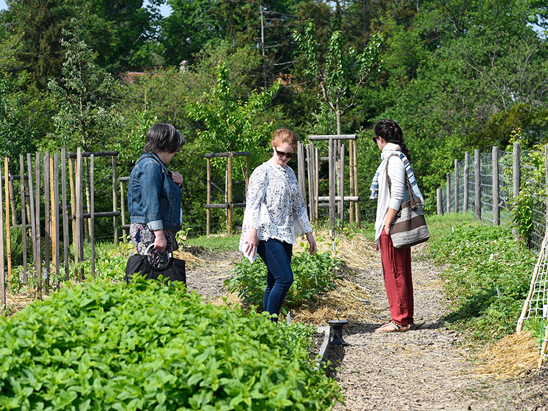 Faites du jardin!