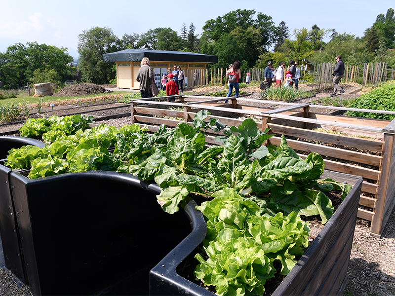 Faites du jardin!