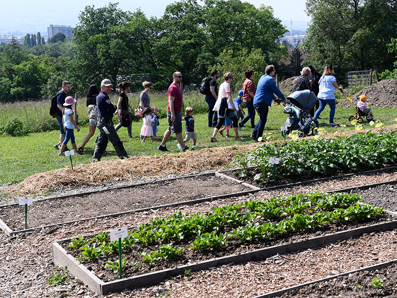 Faites du jardin!