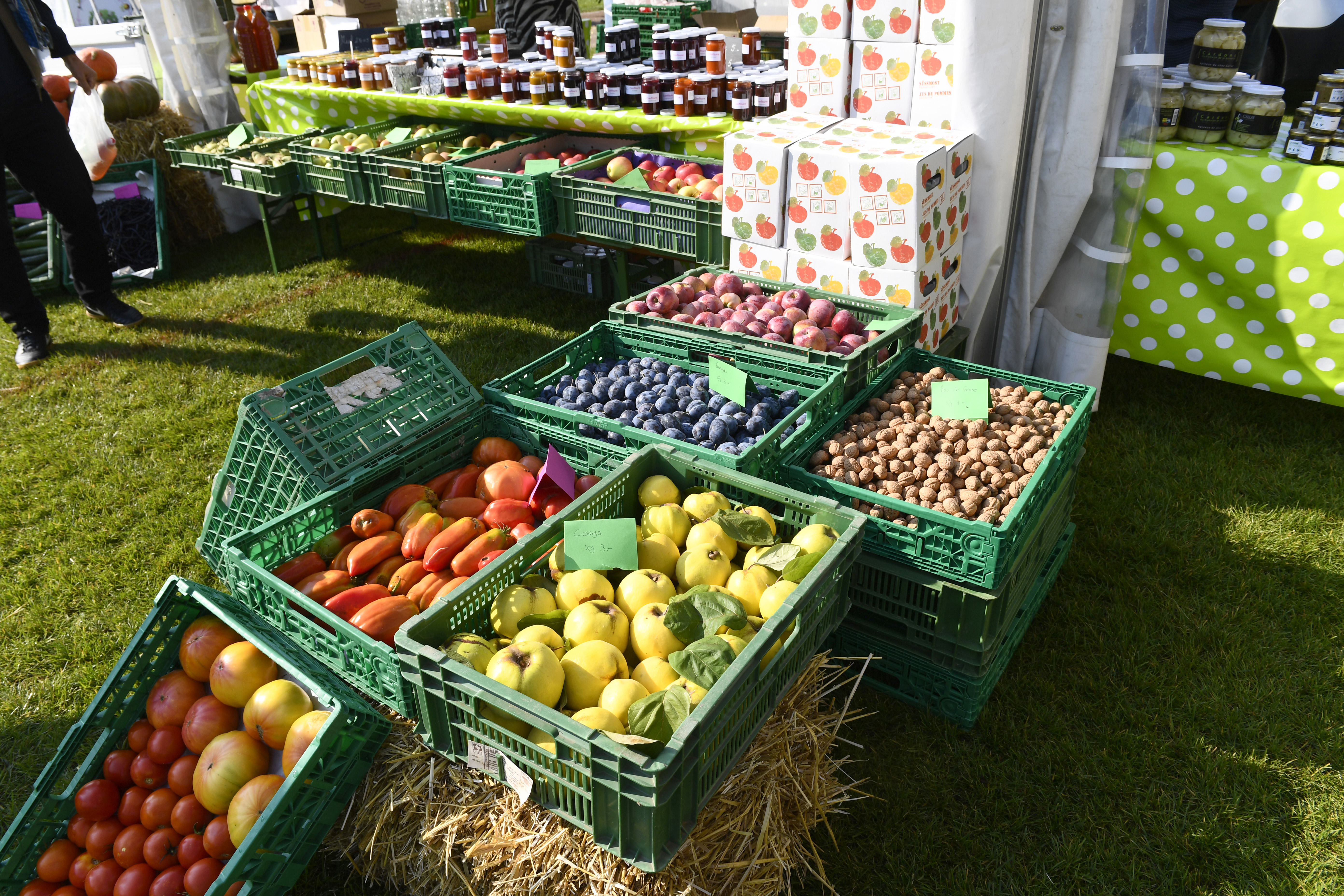 Fête de l'Abeille