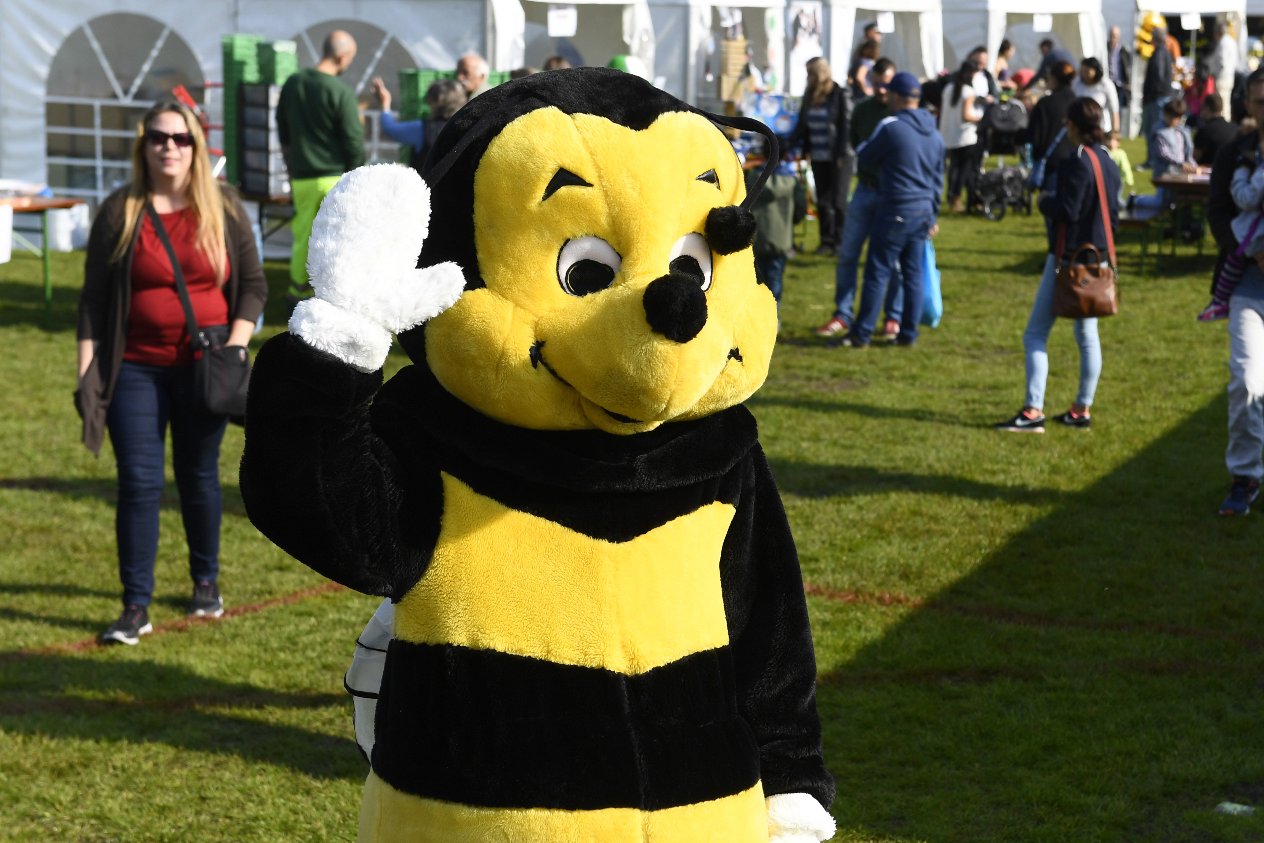 Fête de l'Abeille