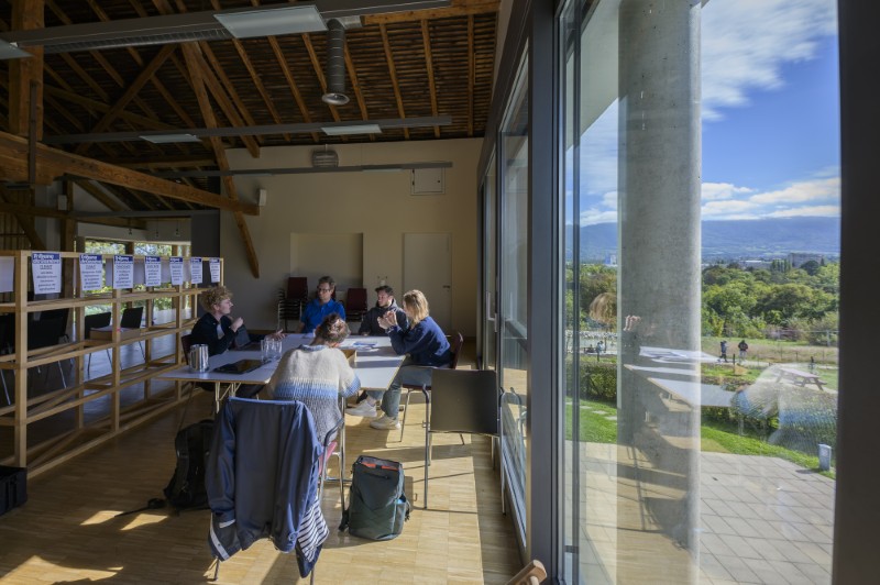 Mosaïque urbaine 2024 en images