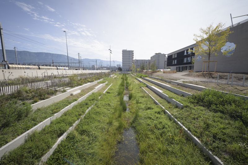 Journée « Eau en Ville » en images