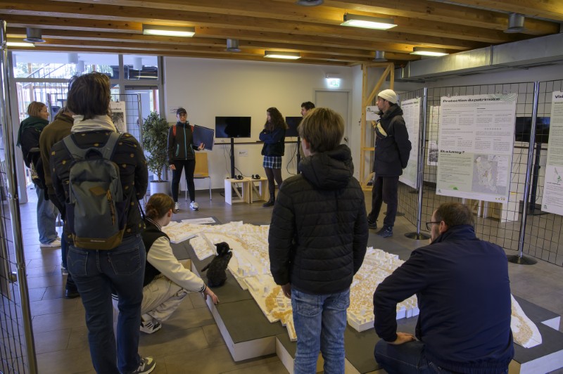 Mosaïque urbaine 2024 en images