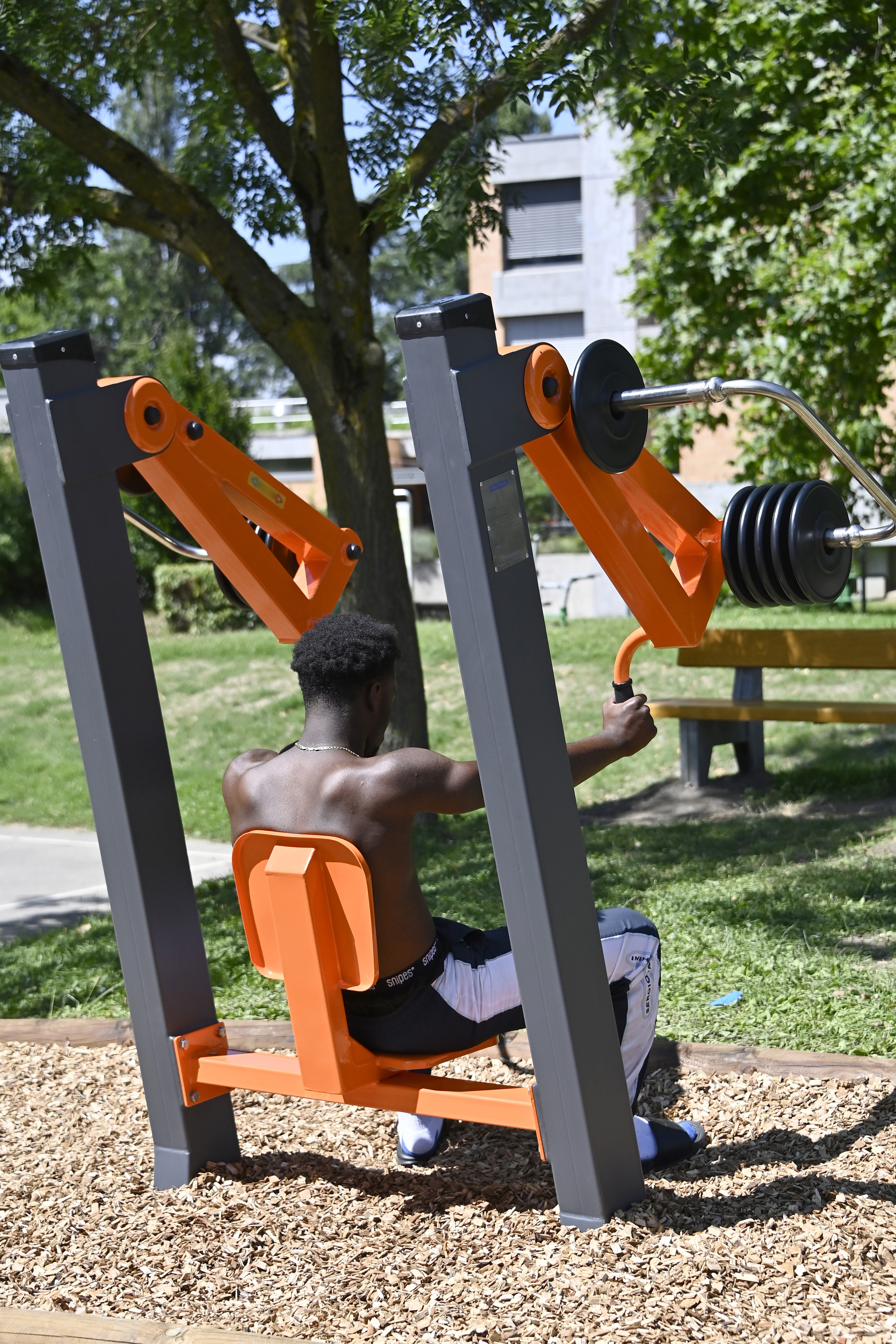 Street workout Palettes