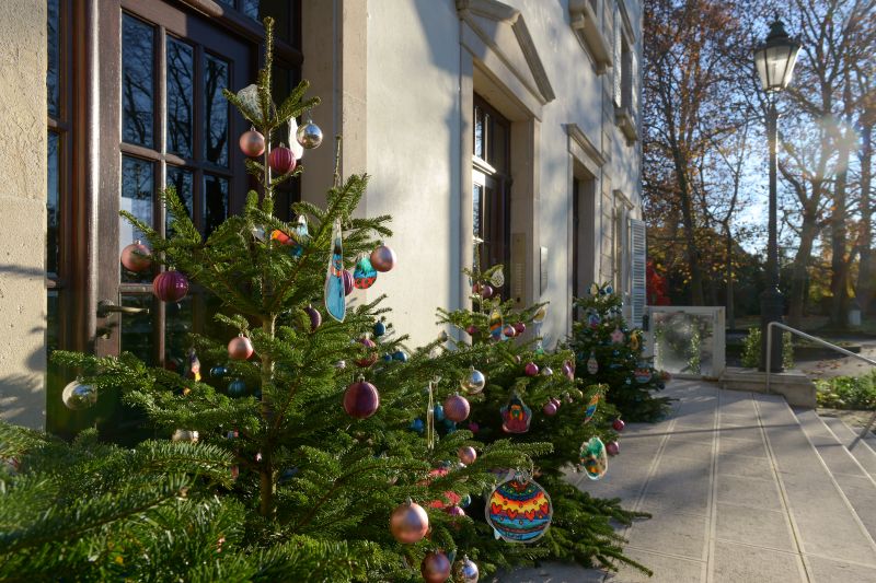 Sapins de Noël 2022