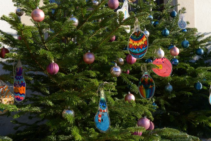 Sapins de Noël 2022
