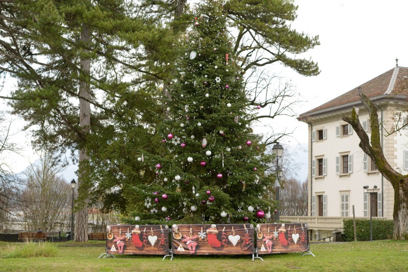 Sapins de Noël de Lancy