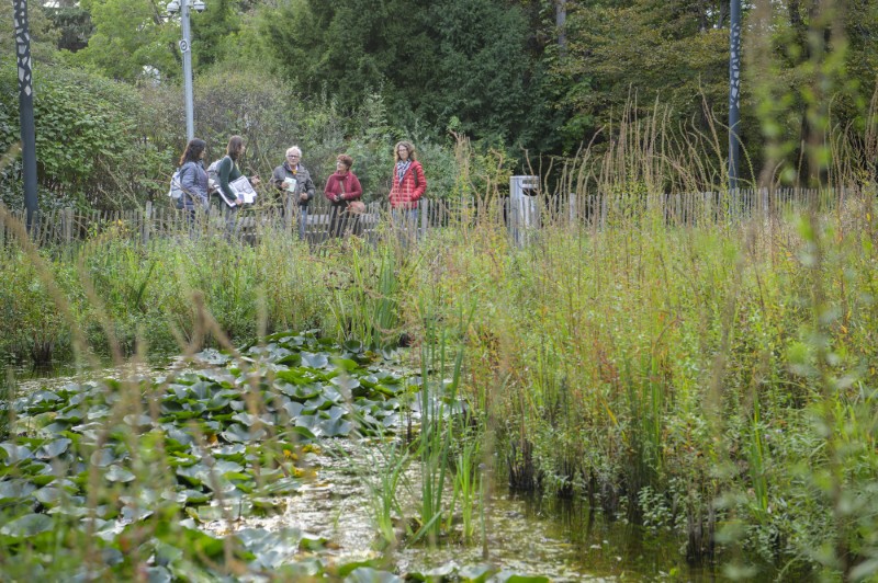 Mosaïque urbaine 2024 en images