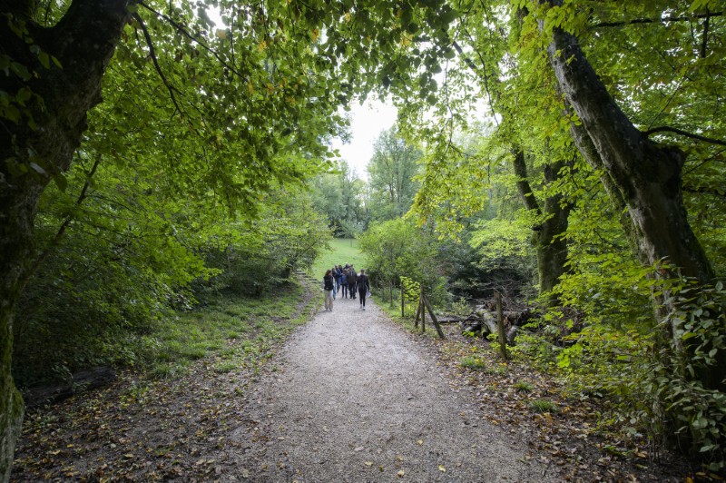 Mosaïque urbaine 2024 en images