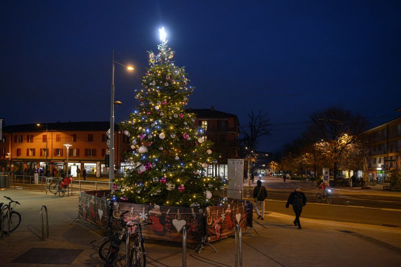 Sapins de Noël 2022