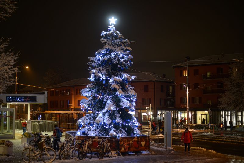 Sapins de Noël 2023 dans Lancy en images