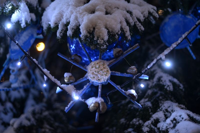 Sapins de Noël 2023 dans Lancy en images
