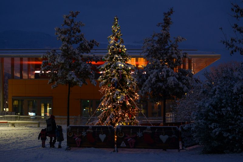 Sapins de Noël 2023 dans Lancy en images