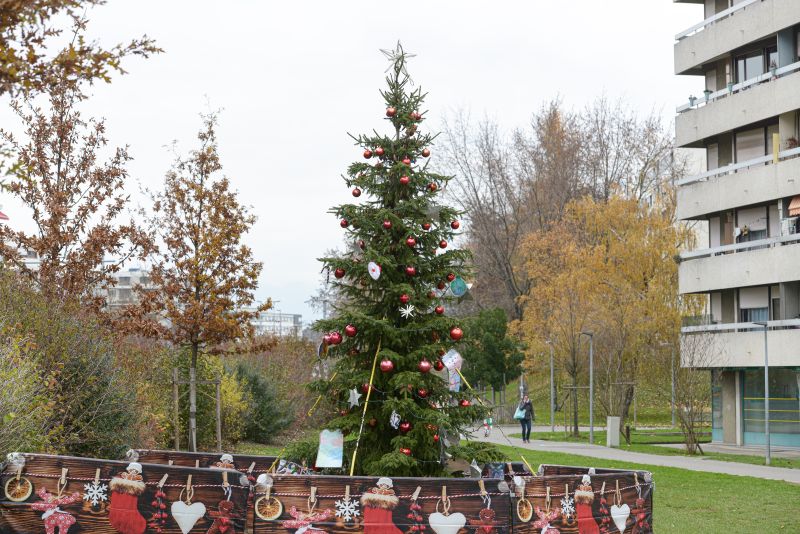 Sapins de Noël 2022