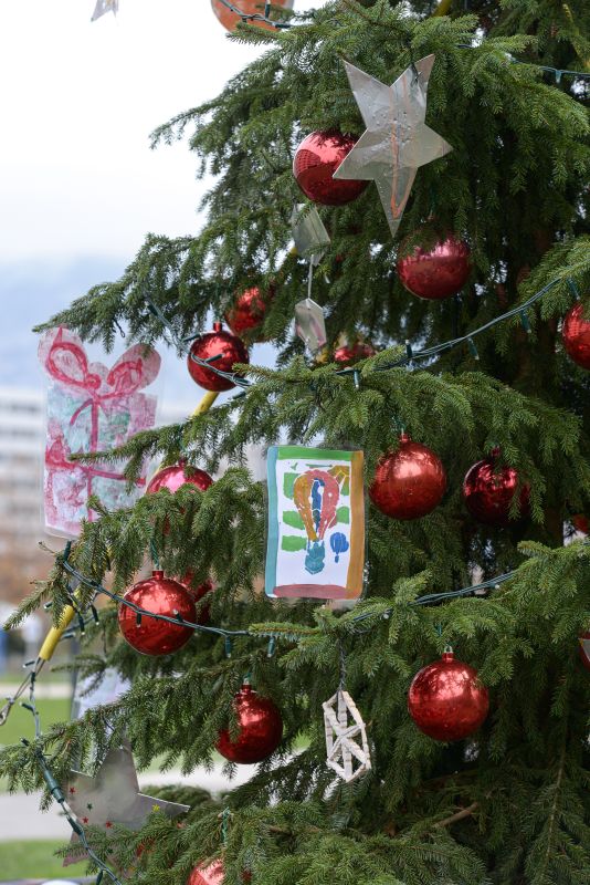 Sapins de Noël 2022