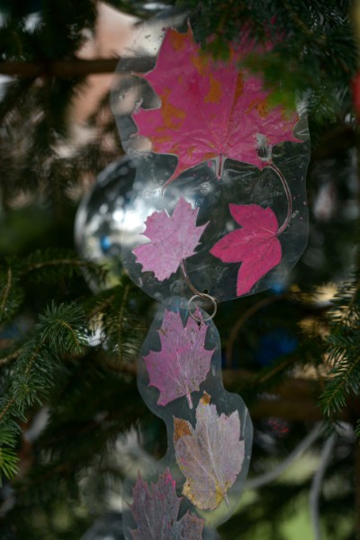 Sapins de Noël de Lancy