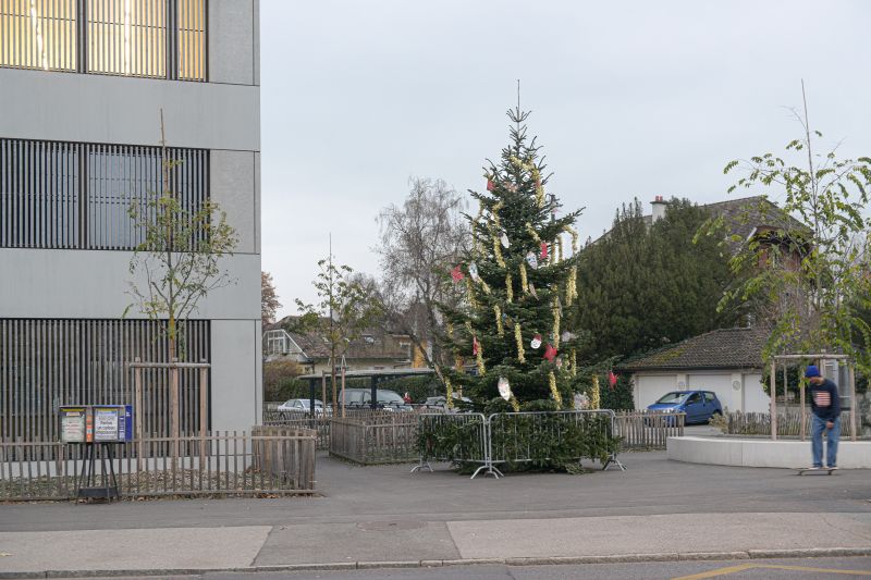 Sapins de Noël 2022