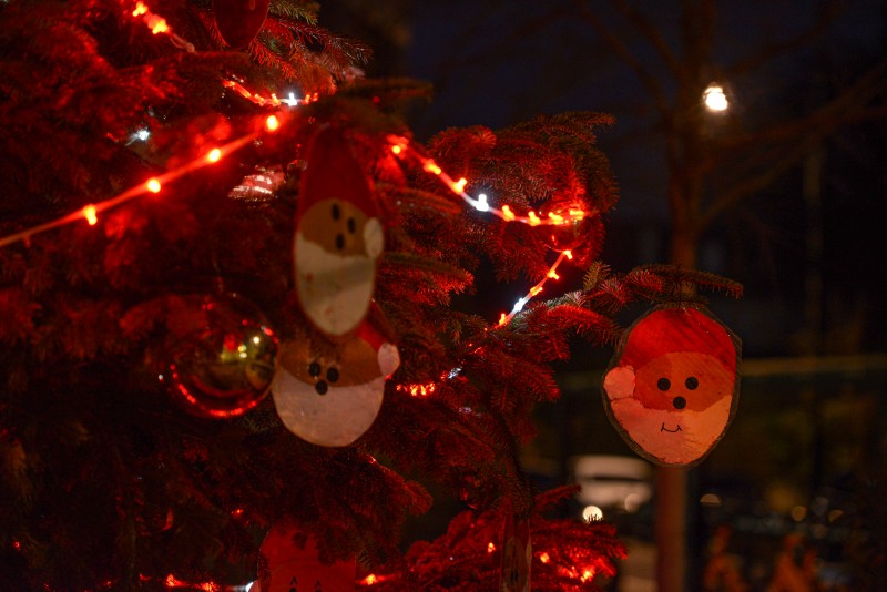 Sapins de Noël de Lancy