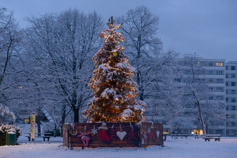 Sapins de Noël 2023 dans Lancy en images