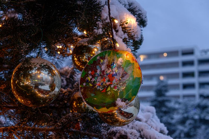 Sapins de Noël 2023 dans Lancy en images