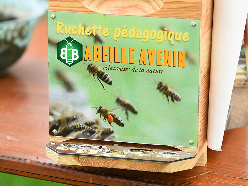 Semaine lancéenne du développement durable