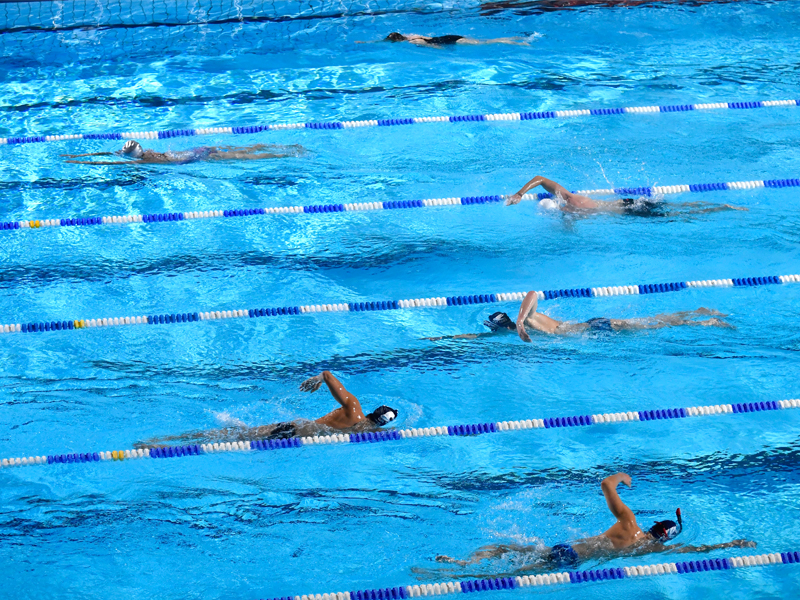 Natation