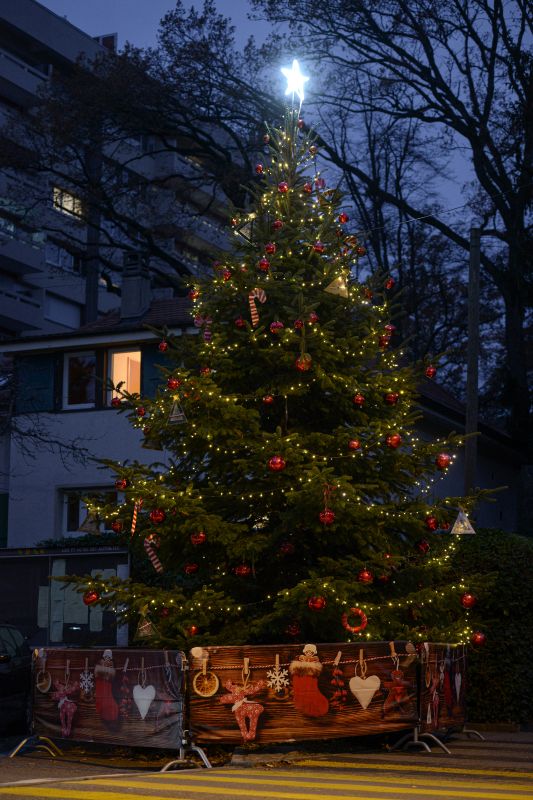 Sapins de Noël 2022