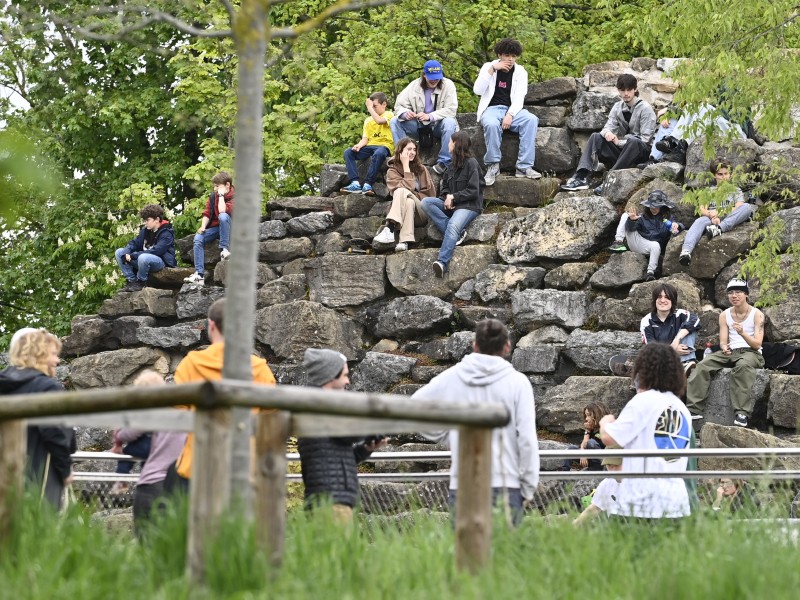 Tuttistreet en images