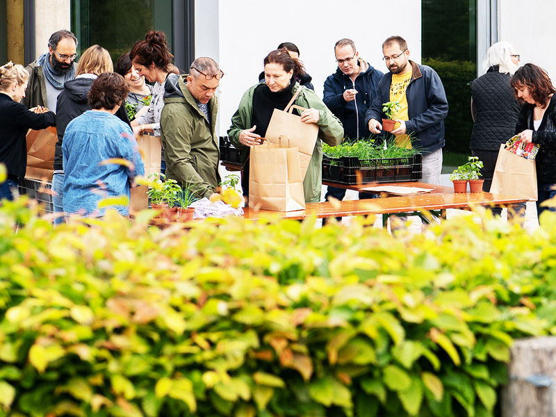 Faites du jardin 2019