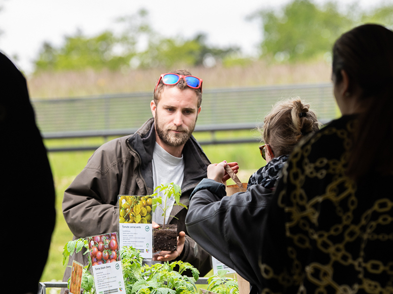 Faites du jardin 2019