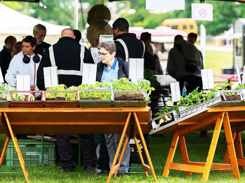Faites du jardin 2019
