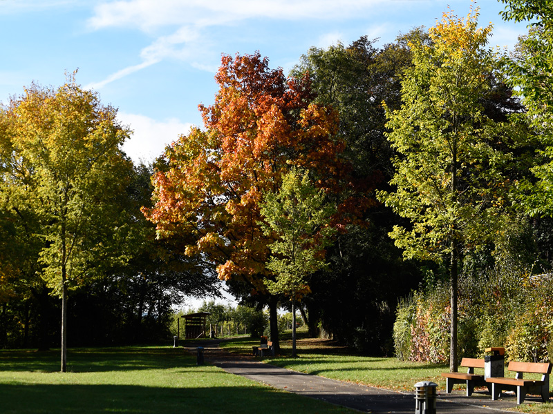 Parc lancÃ©en