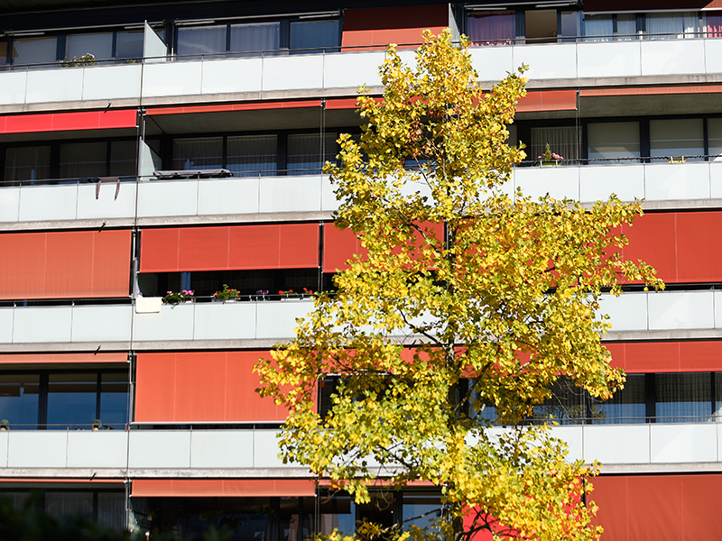 Logement