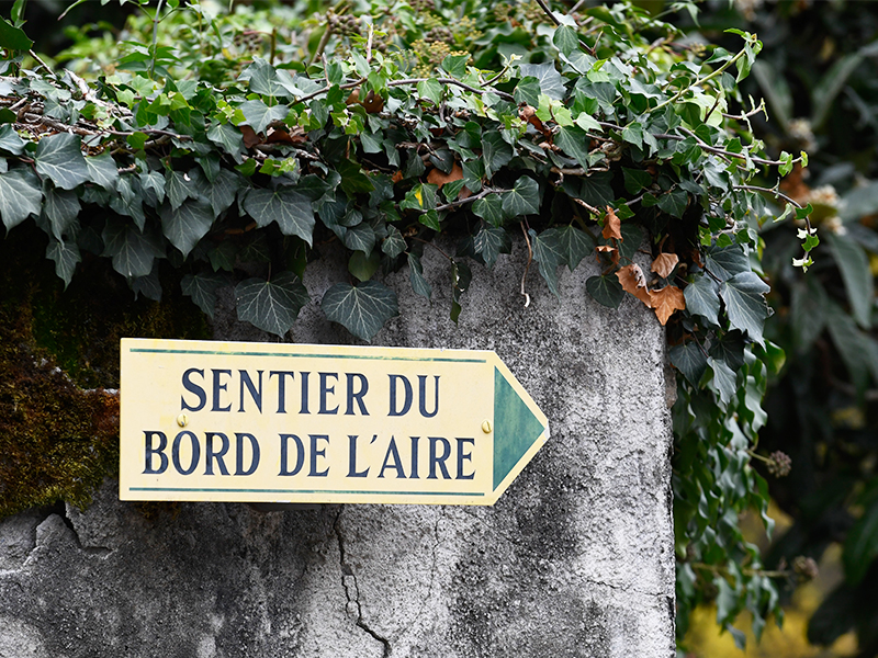 Sentier du bord de l'Aire