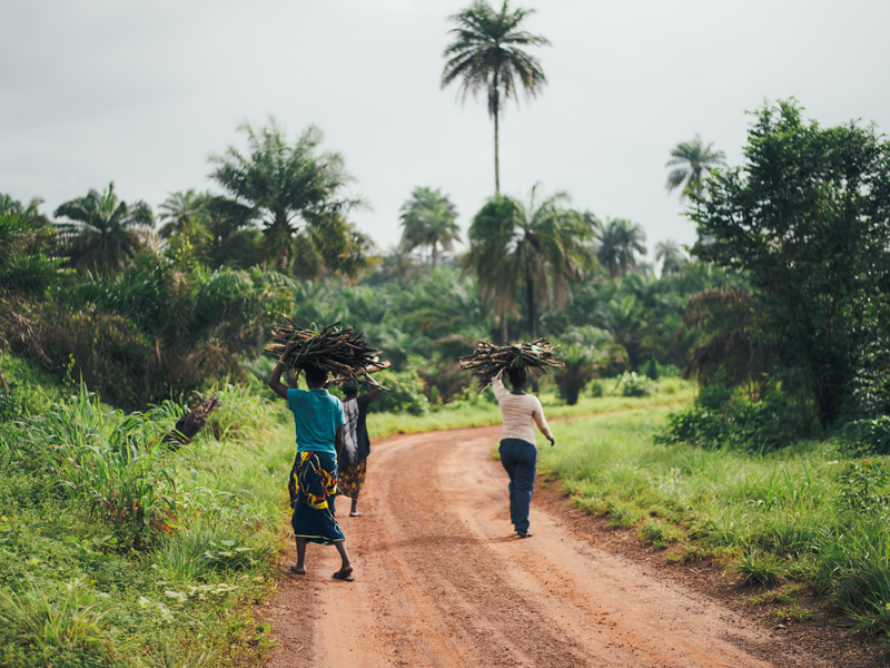 côte d'ivoire