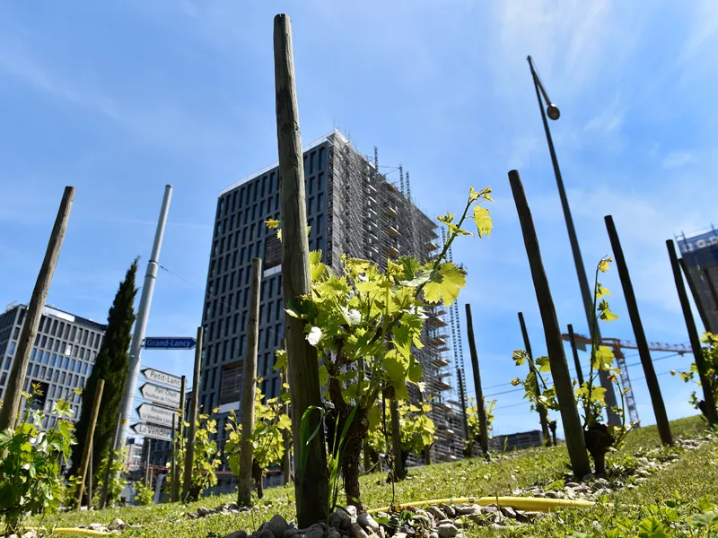 Lancy invite la population à concevoir son développement urbain