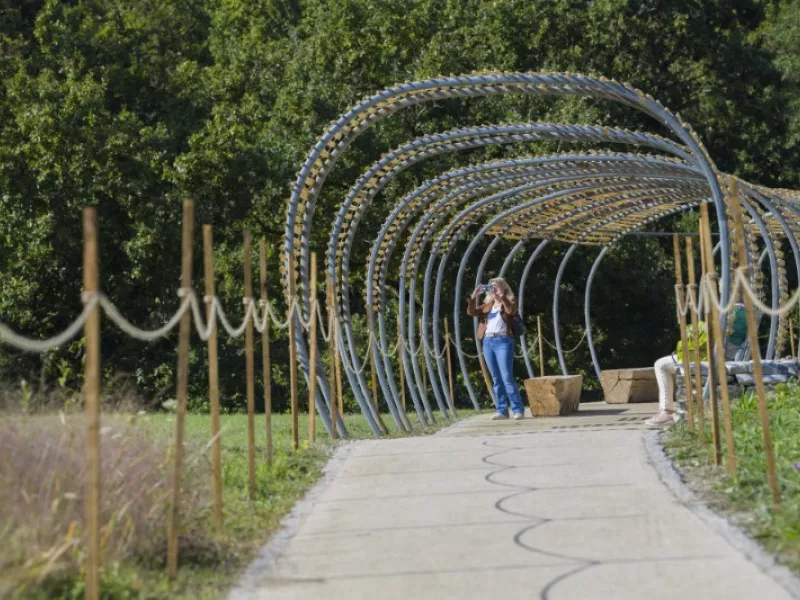 Fête de l'Abeille et du Terroir en images