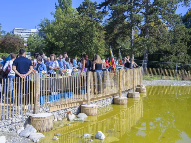 Fête de l'Abeille et du Terroir en images