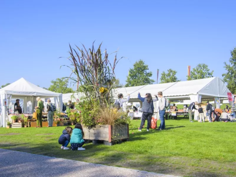 Fête de l'Abeille et du Terroir en images