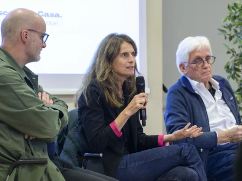 Mosaïque urbaine 2024 en images